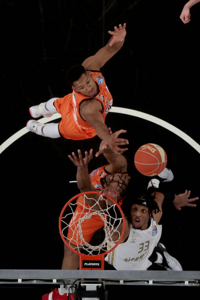 引发外界质 引发外界质